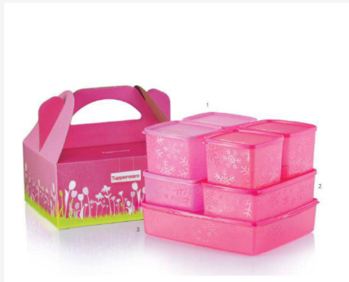Tupperware Snowflake Square Round Set (7 items per box)