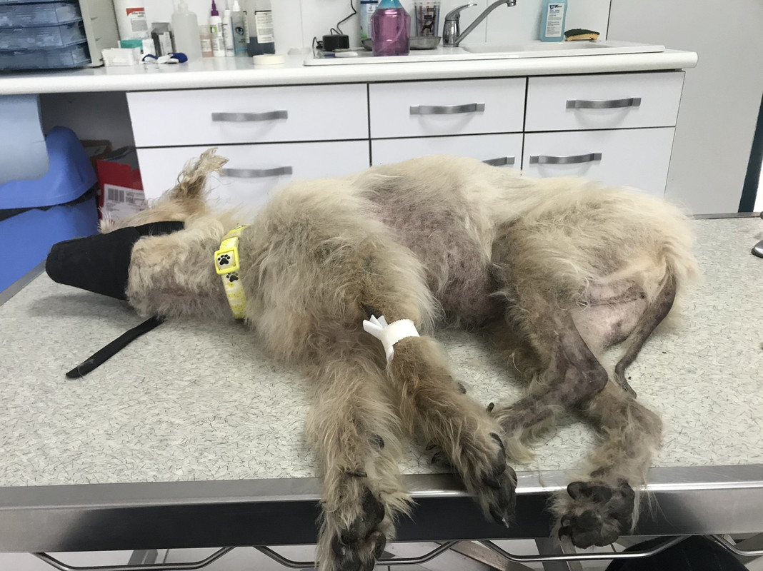 05A51C8A-AD1A-41C2-86DA-BE7810C7BFA1