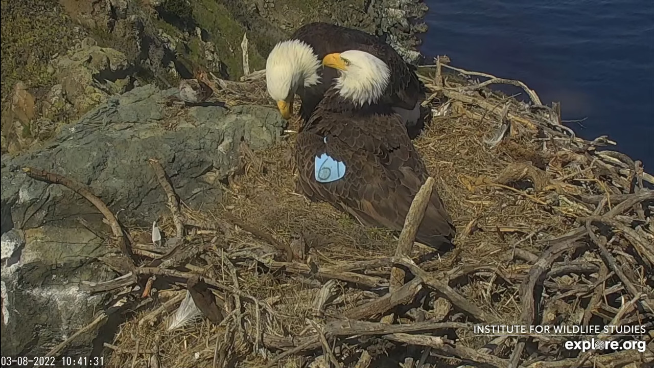 C127AA96-7F45-4FD9-9FDD-14E29AC8298C