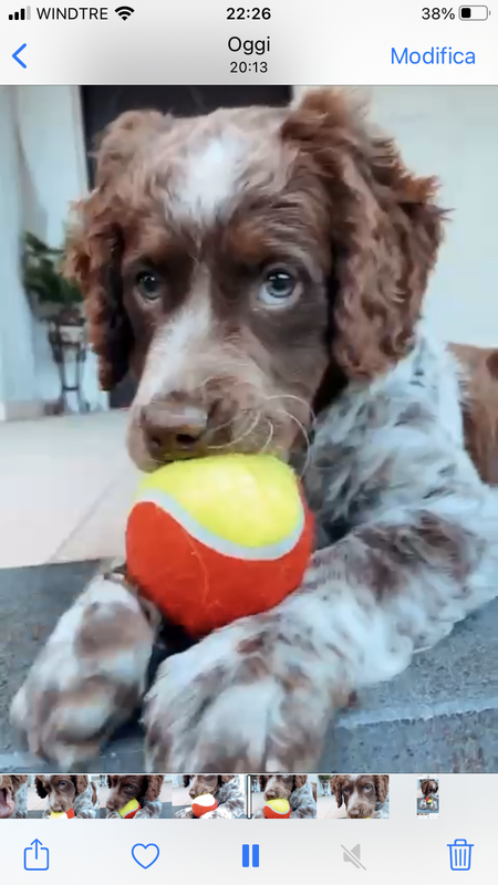 4289AF2B-B078-4035-B09F-9031A8313492