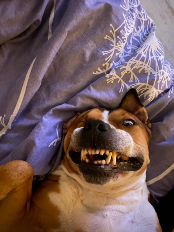 D4CB3632-5E62-4205-8D63-0A24871631A3