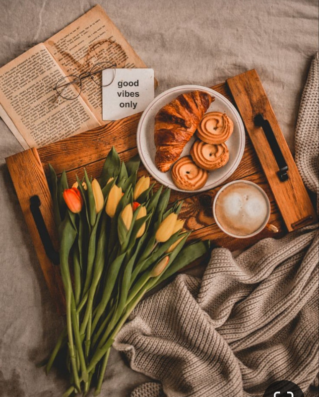 Screenshot_20230808_005148_Pinterest