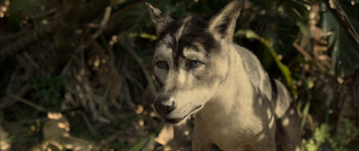 vlcsnap-2018-12-07-17h20m02s407