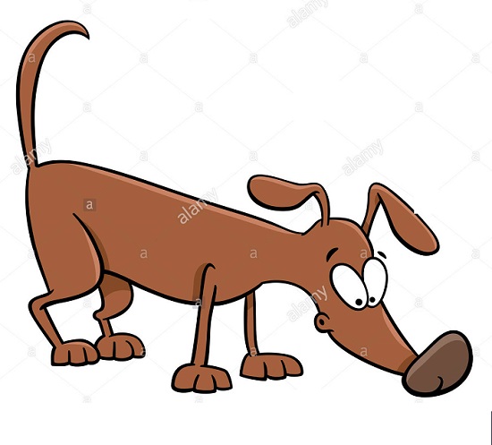 chien-renifleur-cartoon
