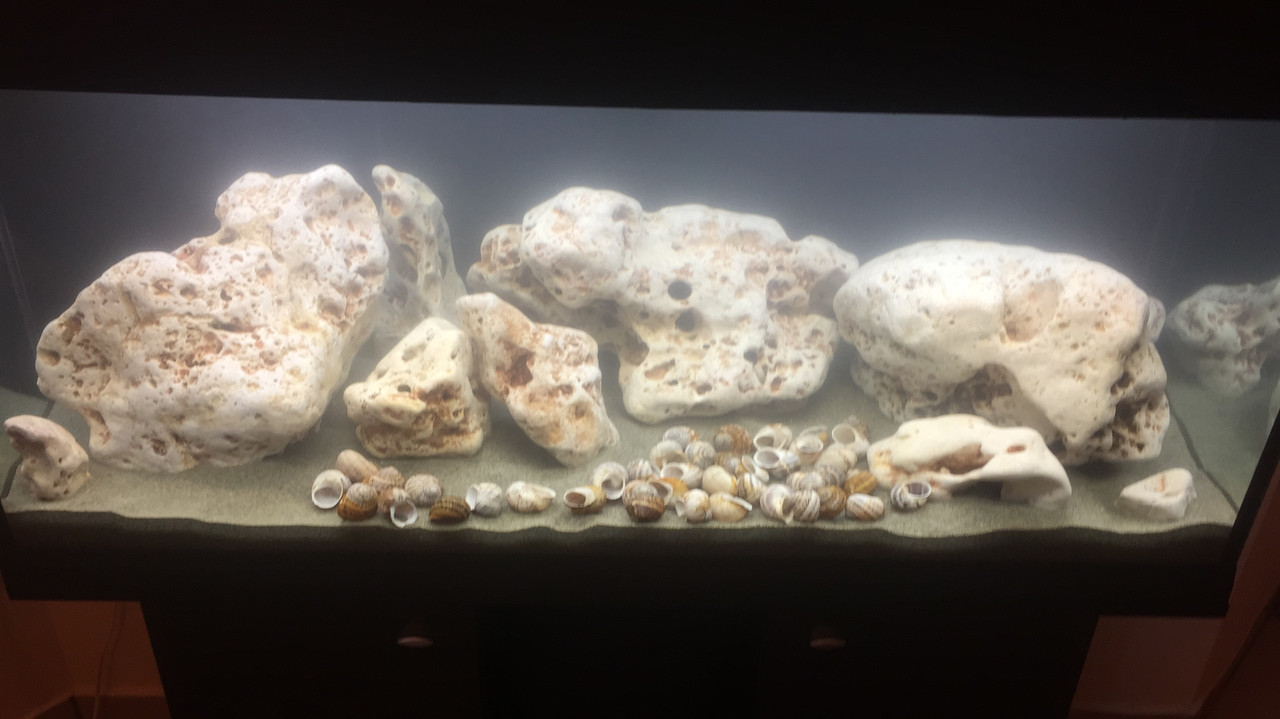 8FBF7B13-BF2D-4719-9A8F-74C81614AFB6