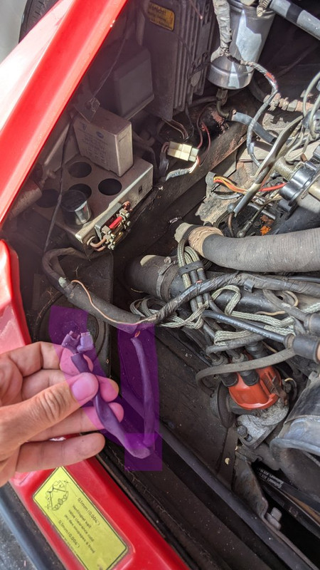 PXL_20250329_105859359~2