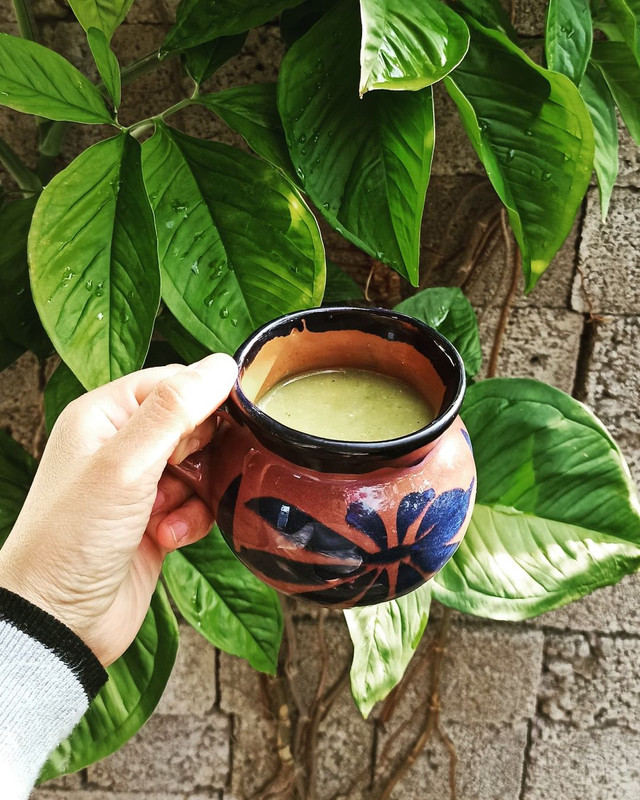 Picoso pero delicioso, prueba el panile de cacahuate en Jalisco 