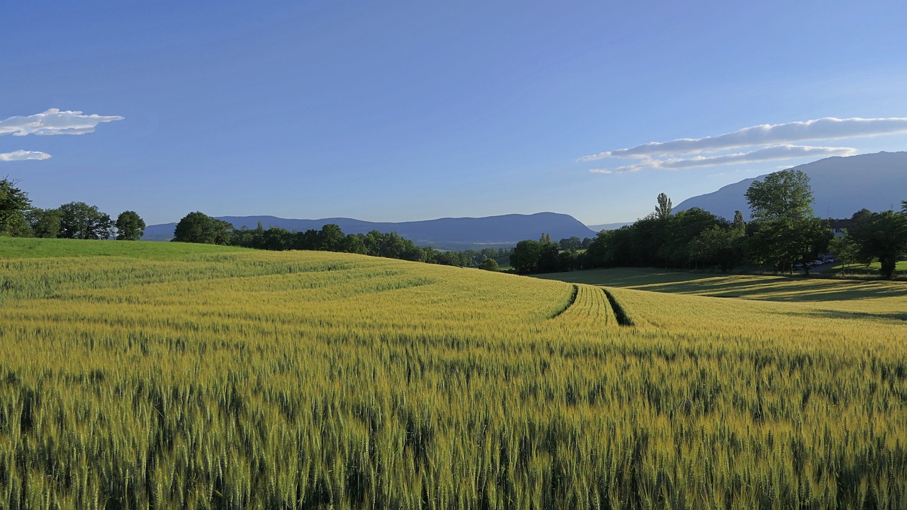 Grundstücksteilung in Österreich