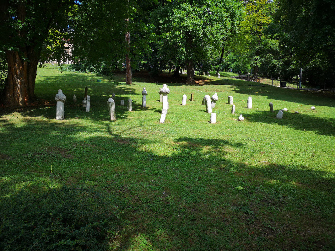 [Obrazek: IMG-20190803-112512.jpg]