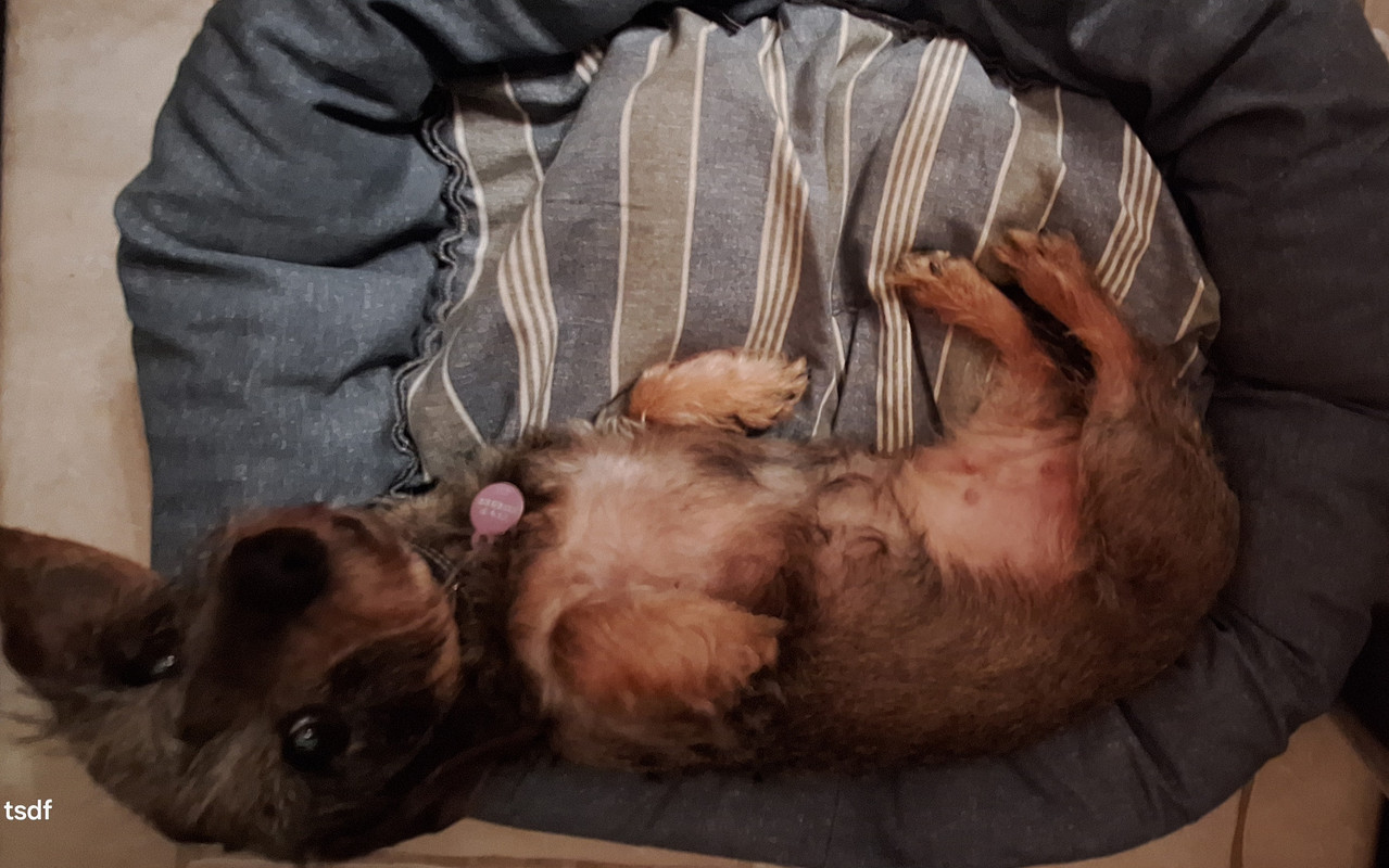 [Image: 20250407-215937.jpg]