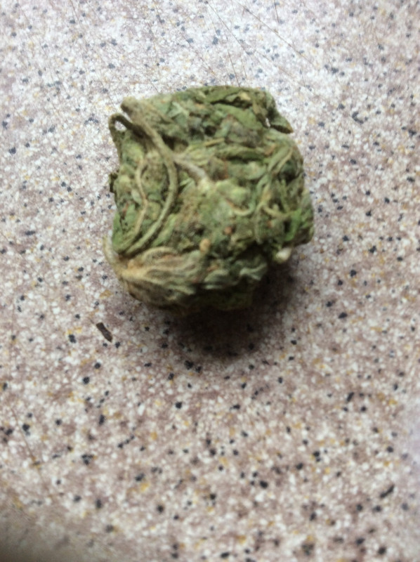 D7504975-7E1D-4D7A-BE63-2BC9F575CCD2