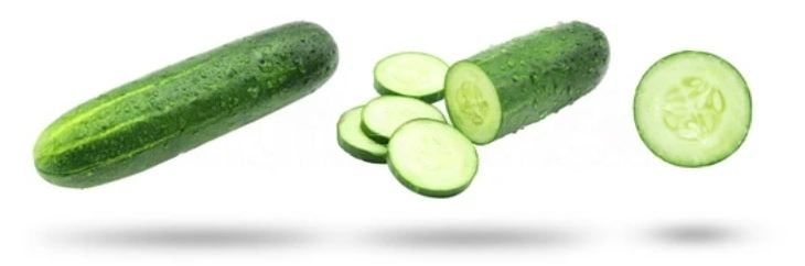 Parrots Eat Cucumber