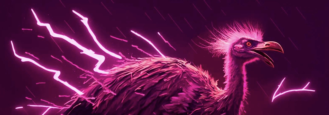 Profile Banner