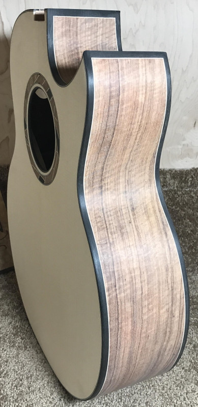 14.IrvinSJCutawayCustom.complete body05