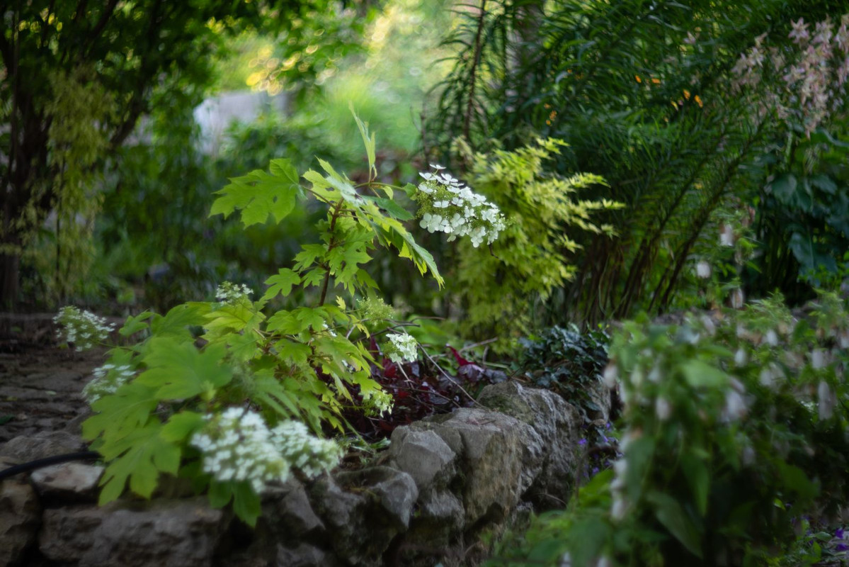 IMG-88cad77f6d940f36c90d69b5a60db53f-V