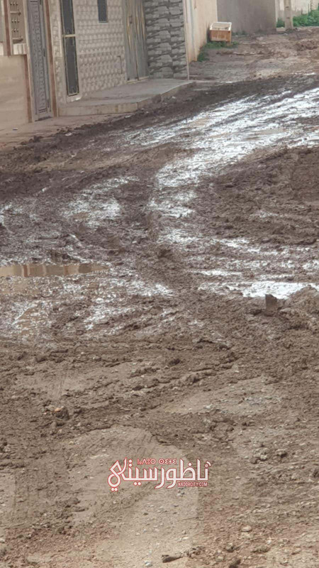 ee81c2d9-9dae-46a9-bd46-d9e207f2bb8f