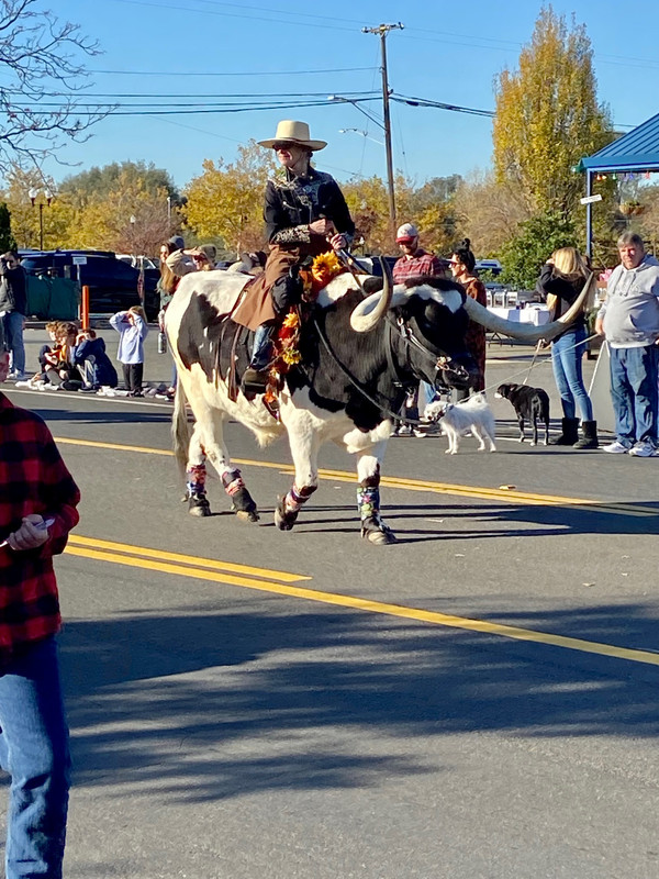 7EDBE219-1675-49B6-9086-70664F796CD6