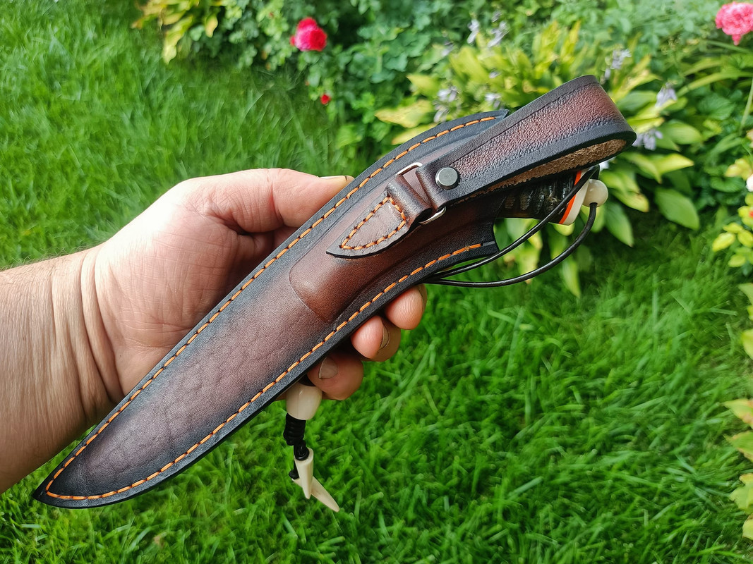 454198684_3573543539562010_3449574100605574121_n