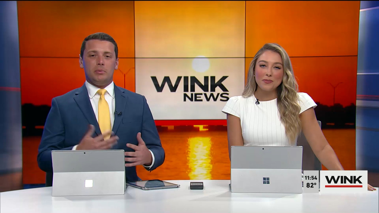 04.02 - 16.30.00 - WINK NEWS at 11 30am  ᴺᵉʷ. Midday news..ts_snapshot_30.49.339