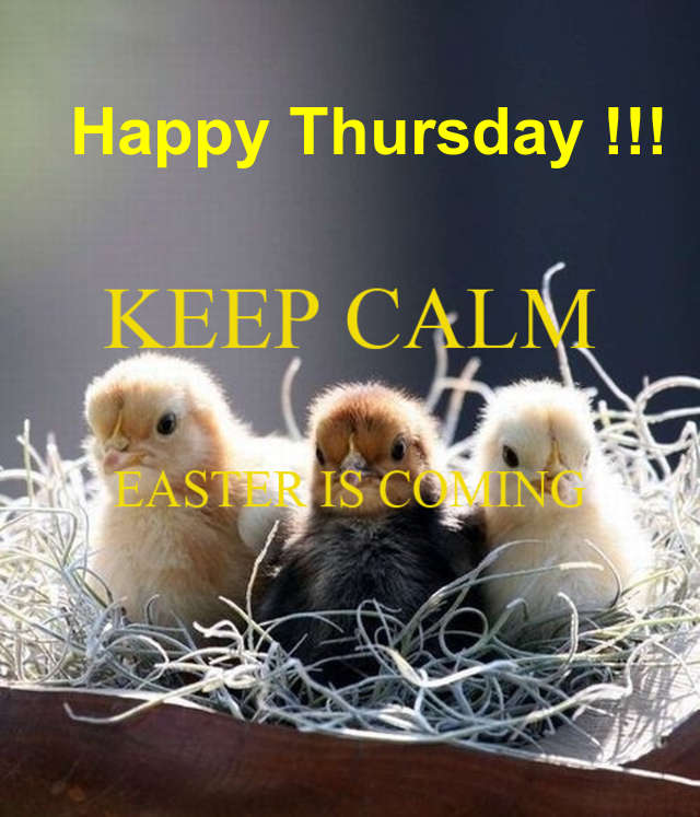 An den Beitrag angehängtes Bild: https://i.postimg.cc/WzPwPJ9j/oie-AGCV2-Nwgfb89.png