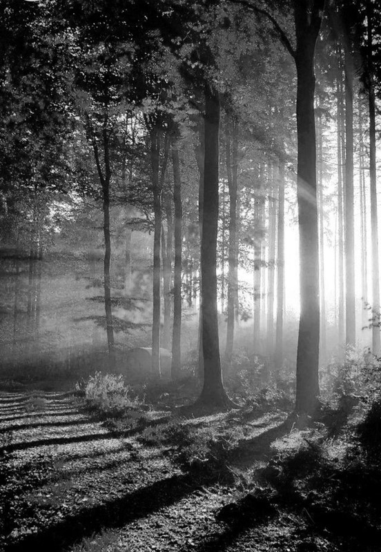 Screenshot_20230125_204657_Chrome