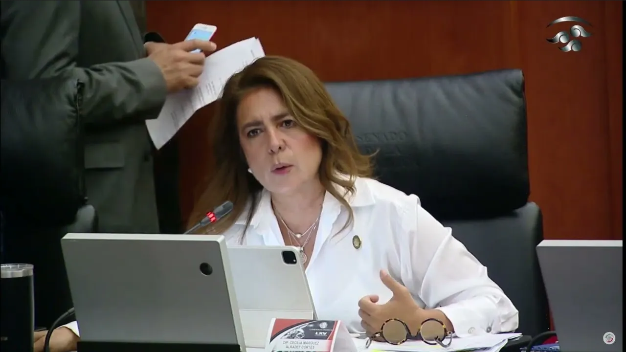 Diputada de Morena, Cecilia Márquez, competirá por la gubernatura de Jalisco