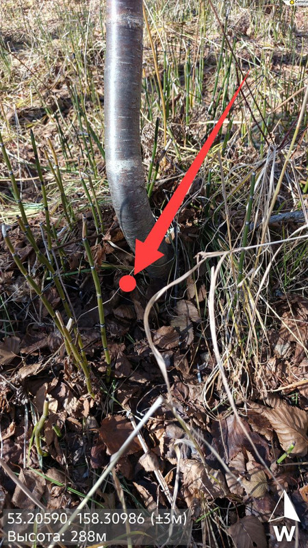 IMG_20251012_132006_521