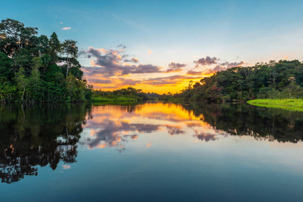 longest river