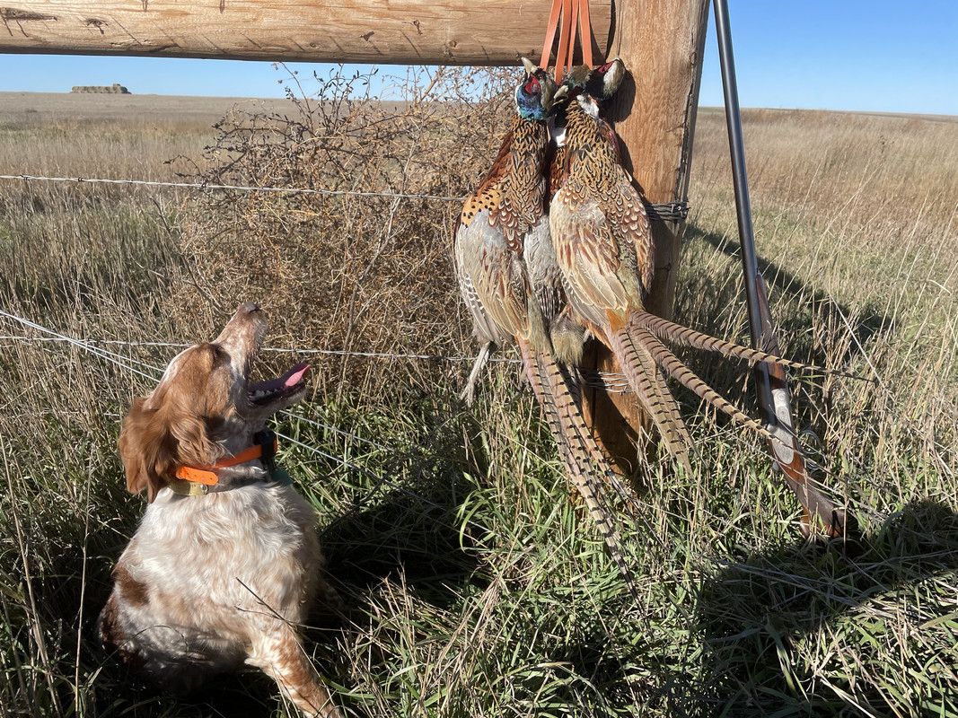 pSNo1bquSOCx%cqZ9TmPsA