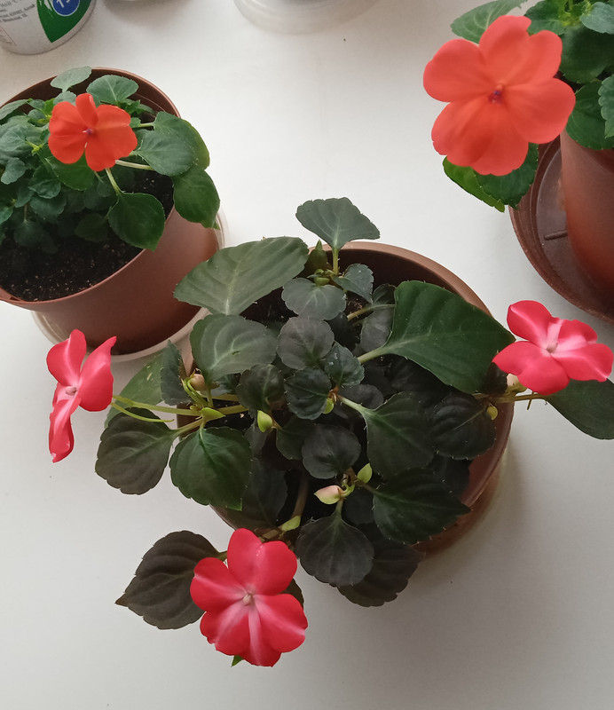 IMG_20230308_112204 (2)