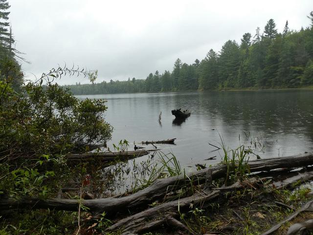 Parque Provincial de Algonquin - DOS SEMANAS EN EL ESTE DE CANADÁ (ONTARIO Y QUÉBEC) (13)
