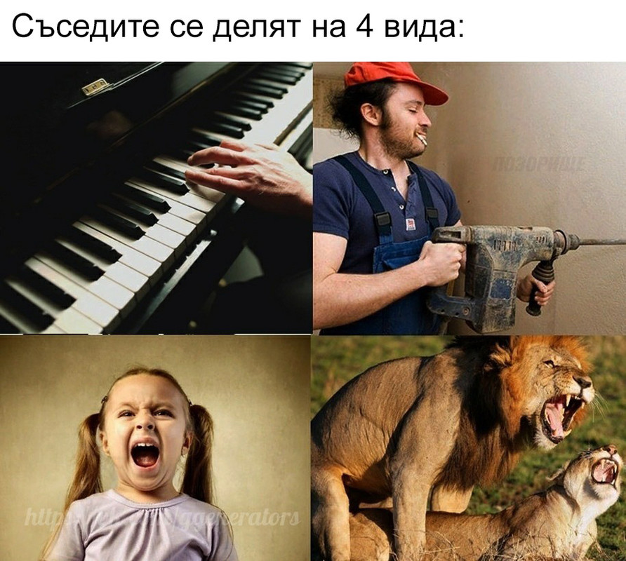 14071437