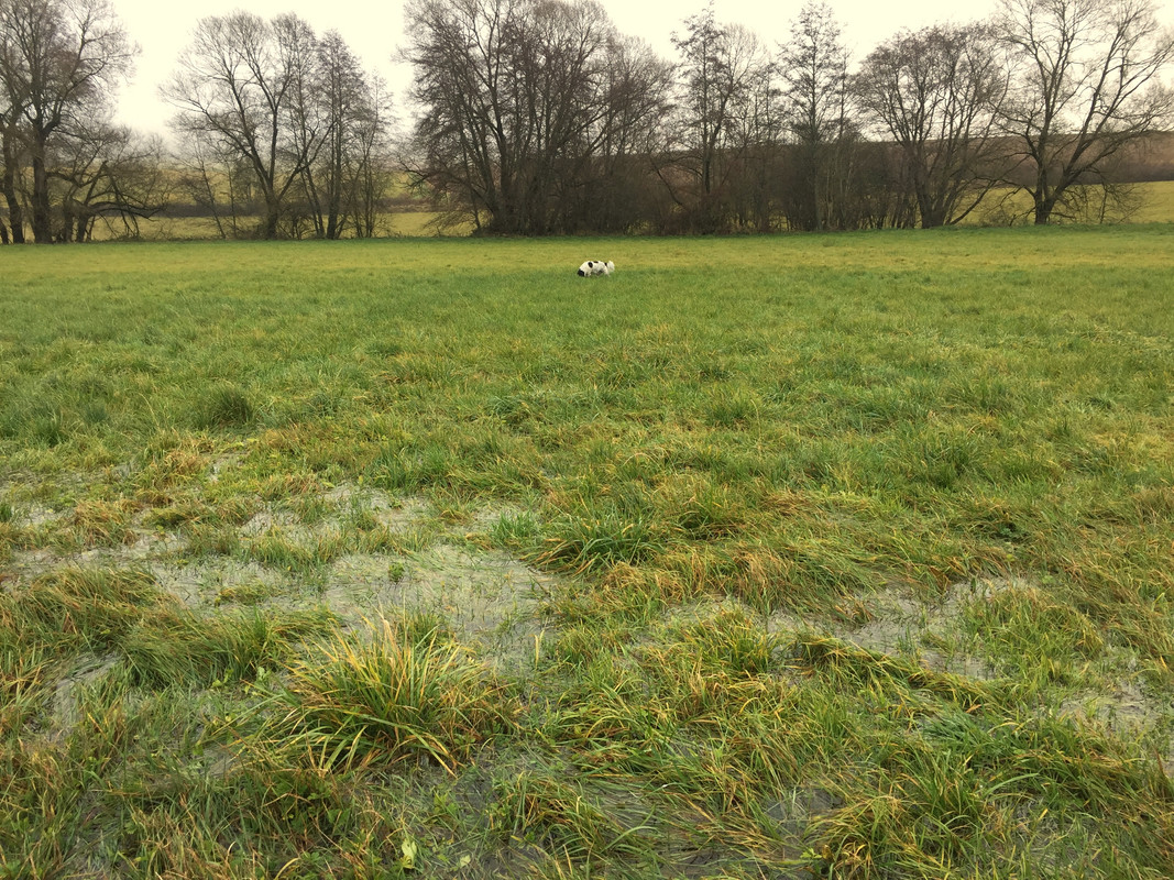 73C8698E-1818-4C2A-81B3-2A303502DF29