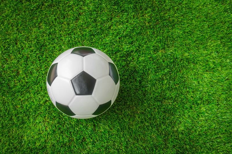 Synthetic Turf