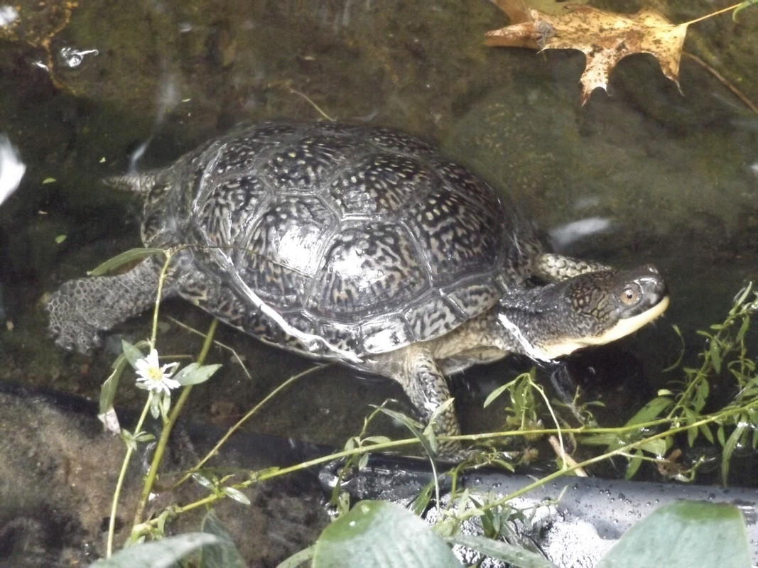 DSCF7858-2.jpg