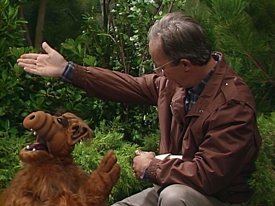 captura #2 ALF