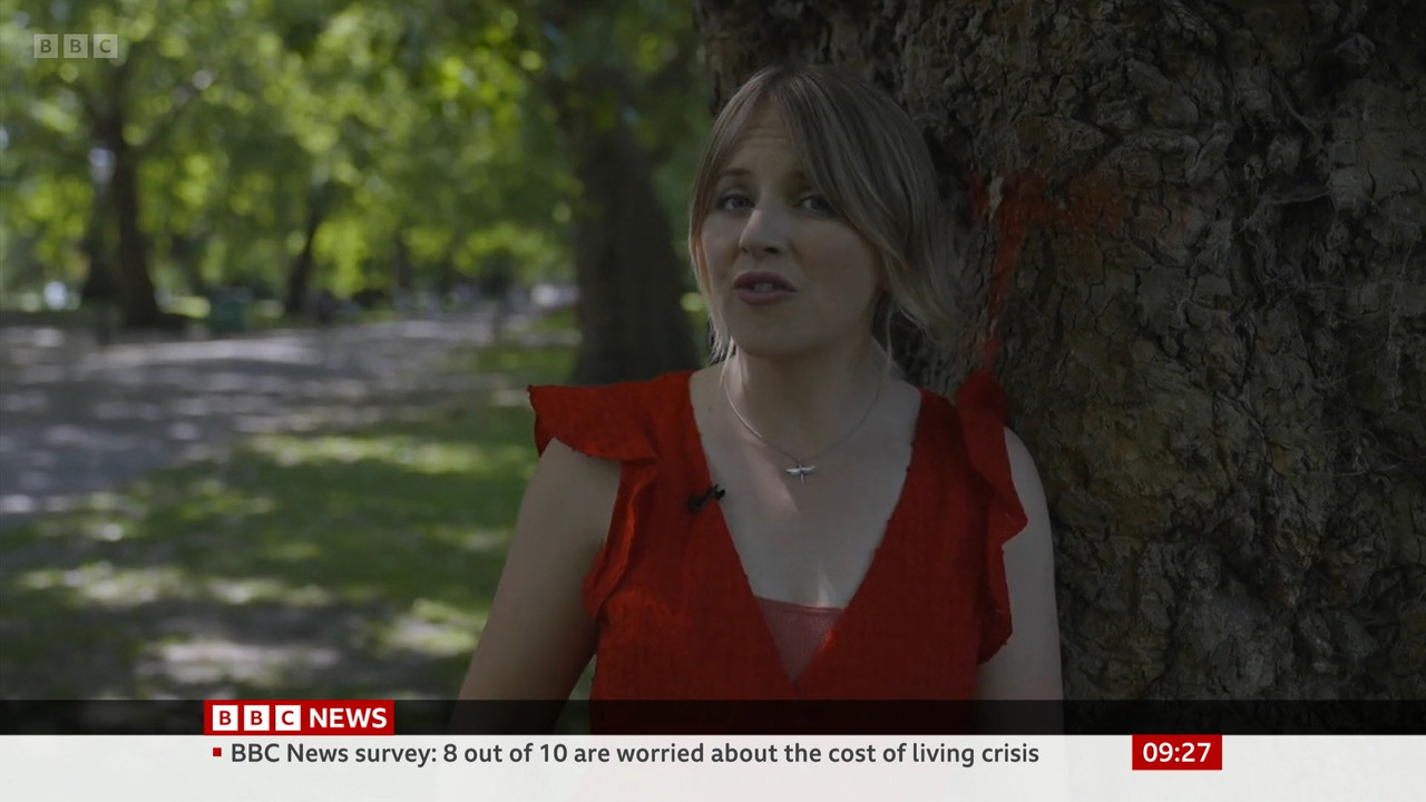 BBC_News_BBC_News_at_9_-_2022-06-17_m0018ccd_original.mp4_snapshot_27.08.160