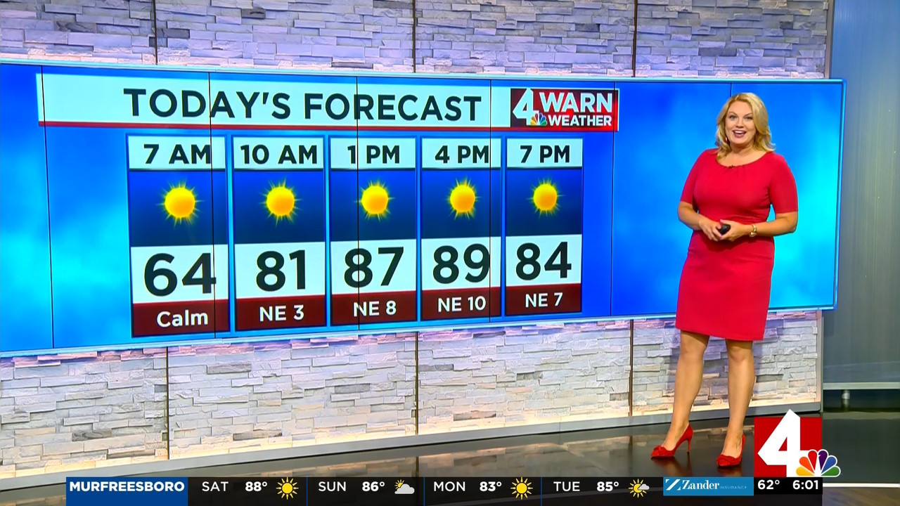13 June - 12.00.00 - News 4 at 6 00 a.m. Saturday. 'News 4' covers even....ts_snapshot_00.04.34.207