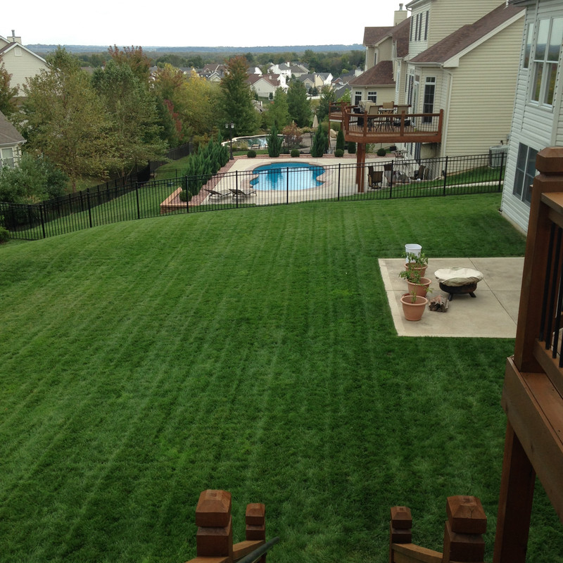 Lawn October 2015_1