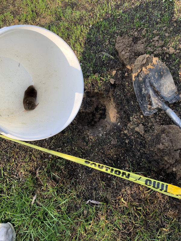 5AB931EA-E23E-458F-8ECD-5E406FD51D17