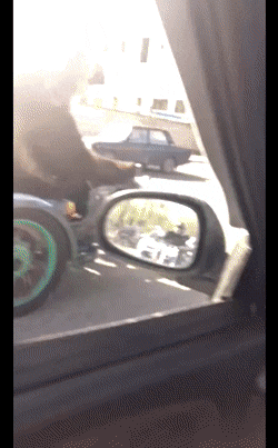 daily-gifdump-3379-21.gif