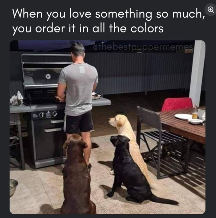 doglove-something-so-much-order-all-colors-ethebestpuppermemes.png