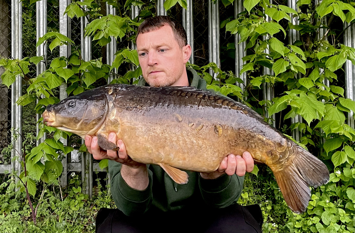 DF61BE2F-6F0D-457E-AD17-A88C2EE2F34A