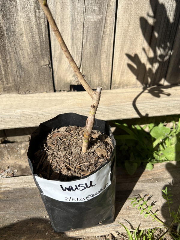 D589469D-27A0-48C2-8E37-340F041F6C13