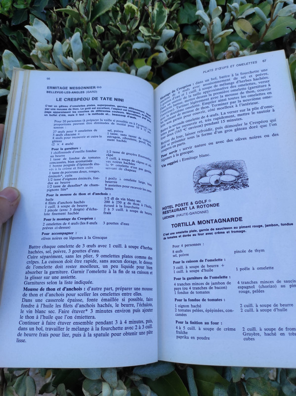 https://i.postimg.cc/WzVJNrfj/IMG-20210422-173945.jpg