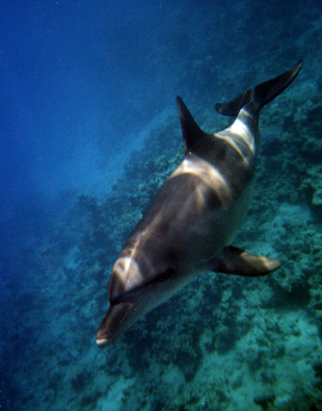 МАКСИМ ПЛАЗА ЦИФ?А (43)