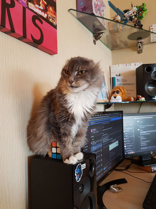 4E002948-8BAE-4FC8-ABCC-481C588283D2