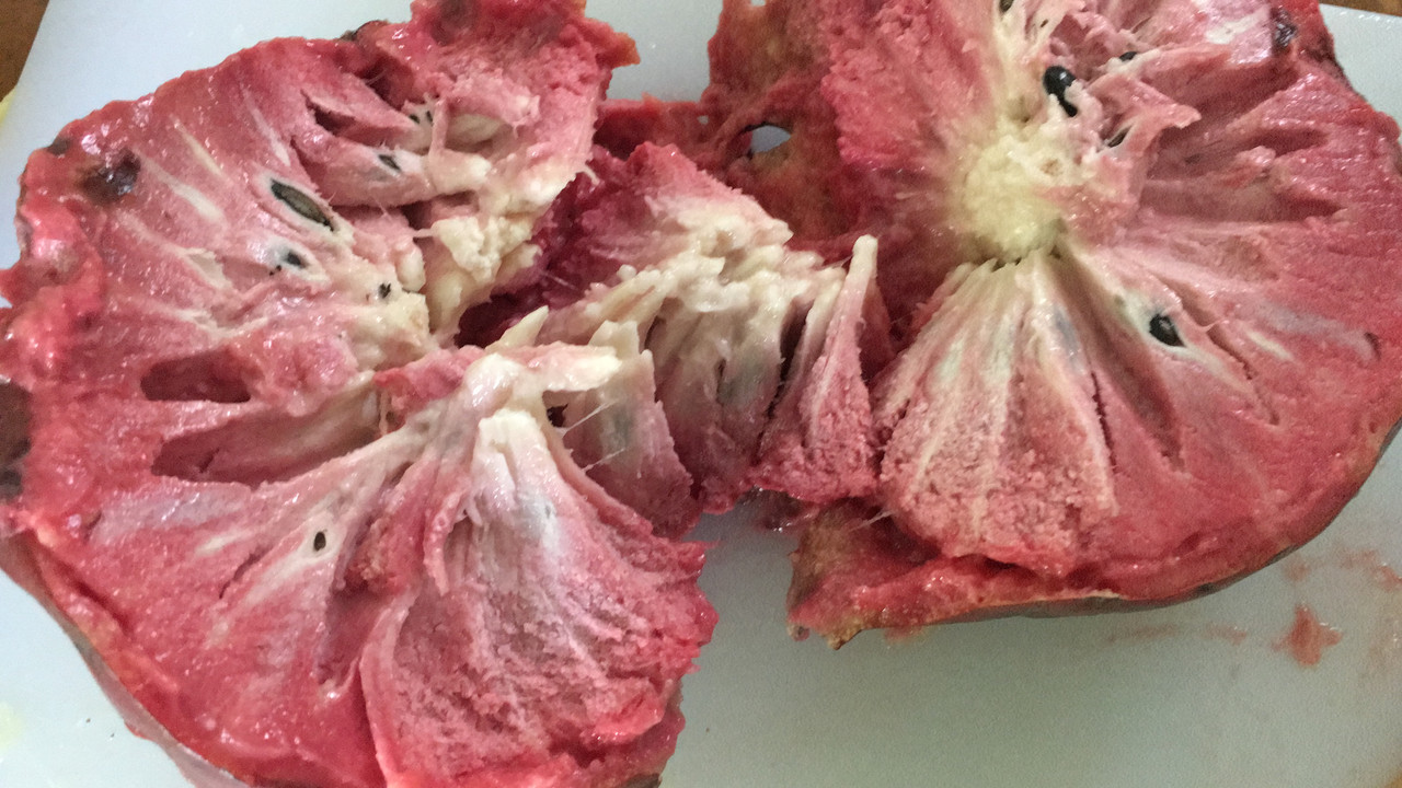 E76DB169-F25C-4240-814E-C46446C8B5E0