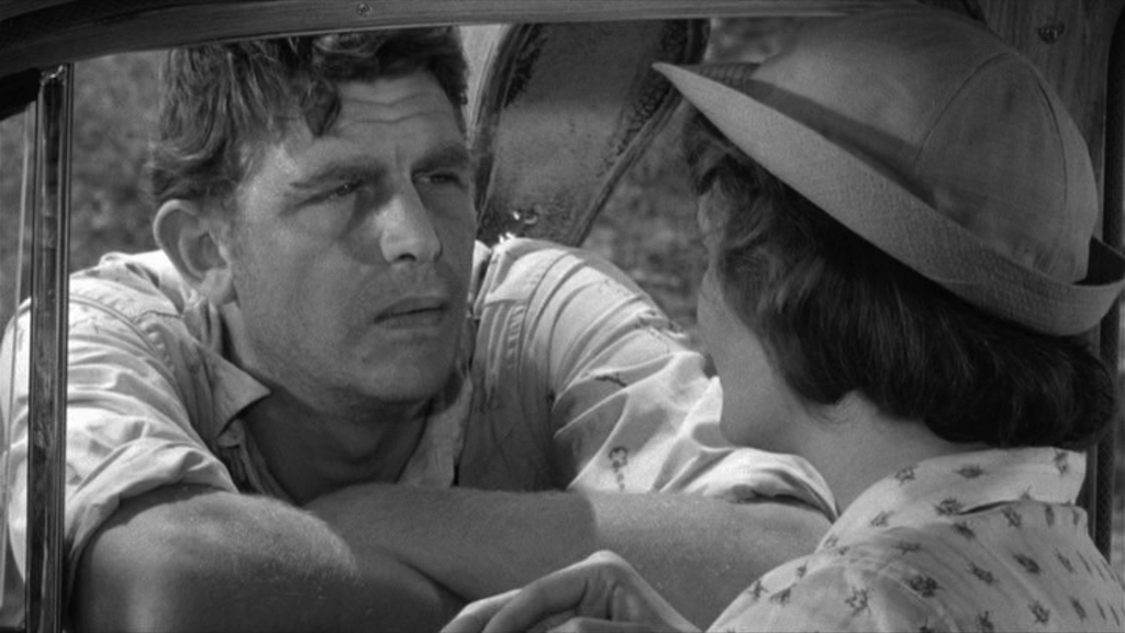 vlcsnap-2018-05-21-21h17m37s204