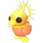 Sunrise Duckling